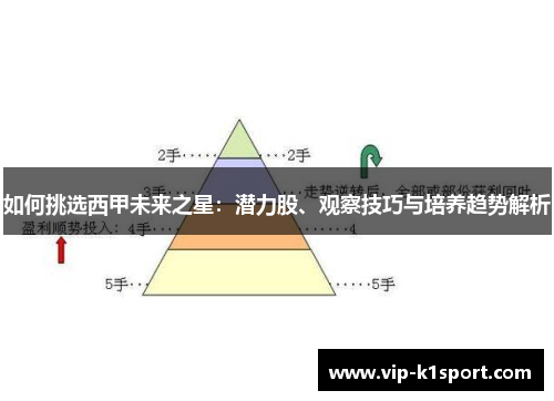 如何挑选西甲未来之星：潜力股、观察技巧与培养趋势解析