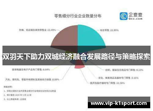 双羽天下助力双城经济融合发展路径与策略探索