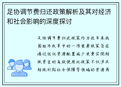 足协调节费归还政策解析及其对经济和社会影响的深度探讨