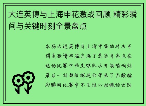 大连英博与上海申花激战回顾 精彩瞬间与关键时刻全景盘点
