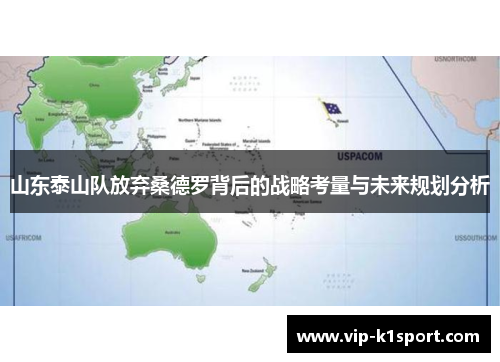 山东泰山队放弃桑德罗背后的战略考量与未来规划分析